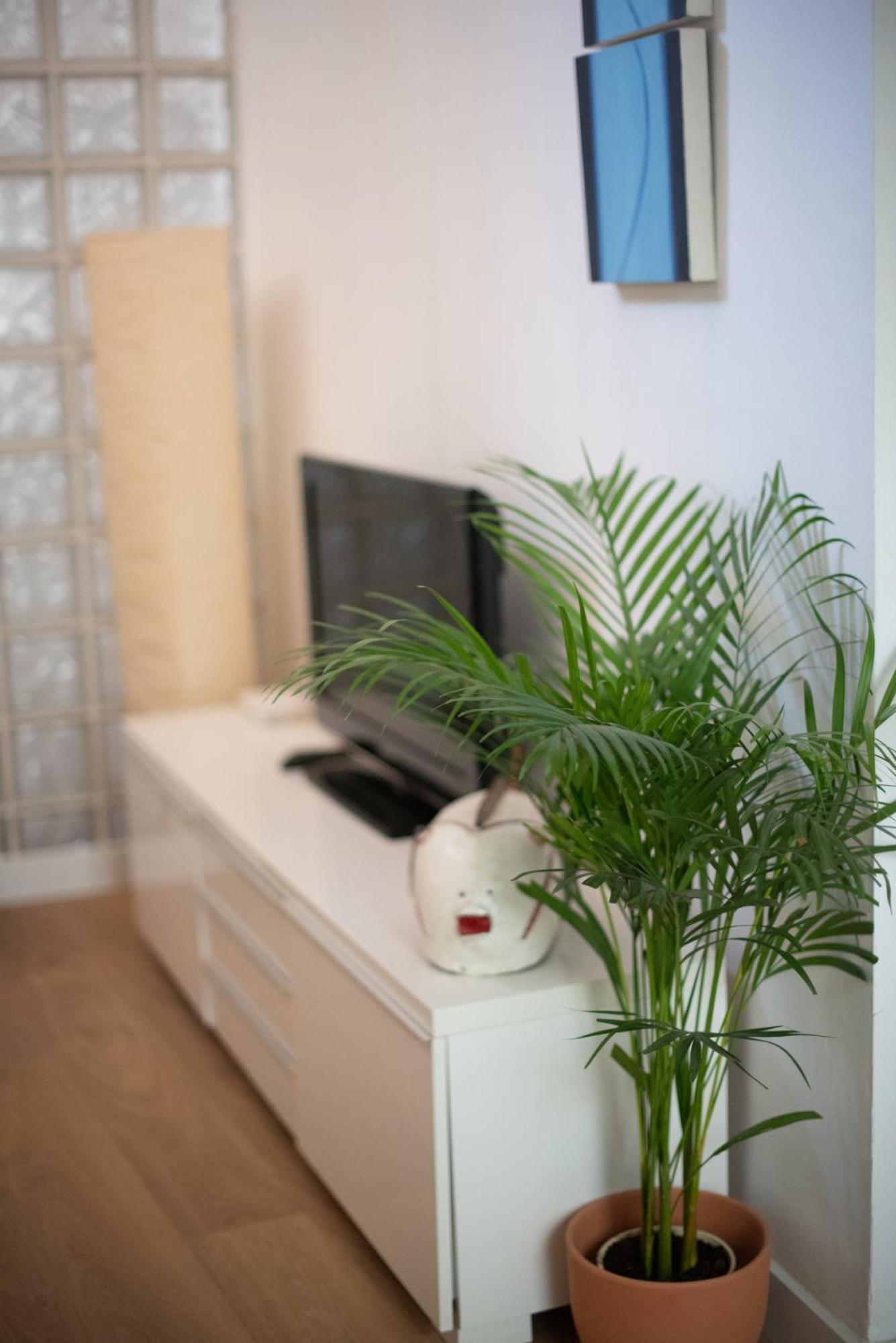 Cozy & Quiet Apartment In The Center Μάλαγα Εξωτερικό φωτογραφία